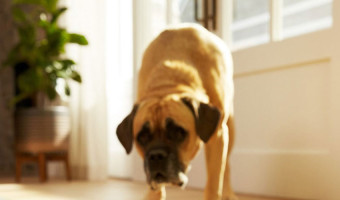 Low-Effort, High-Tech Ways to Clean Your House