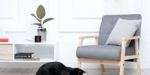 Tech Gift Guide: What to Buy for the Pet Lover