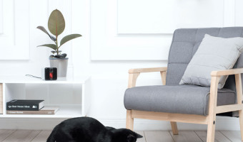Tech Gift Guide: What to Buy for the Pet Lover